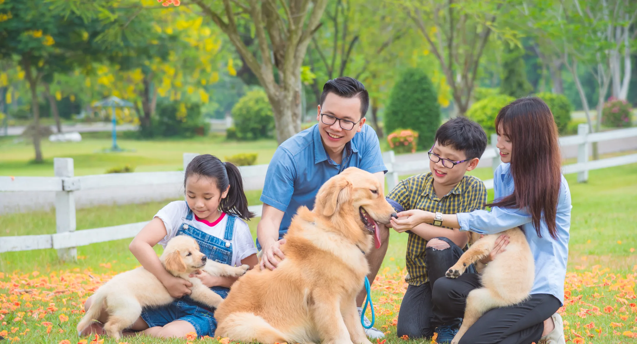 Family with fence and a dog